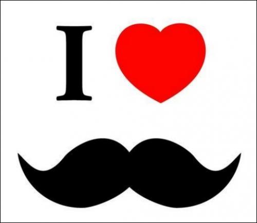 ¡ BIGOTES EN TODO!